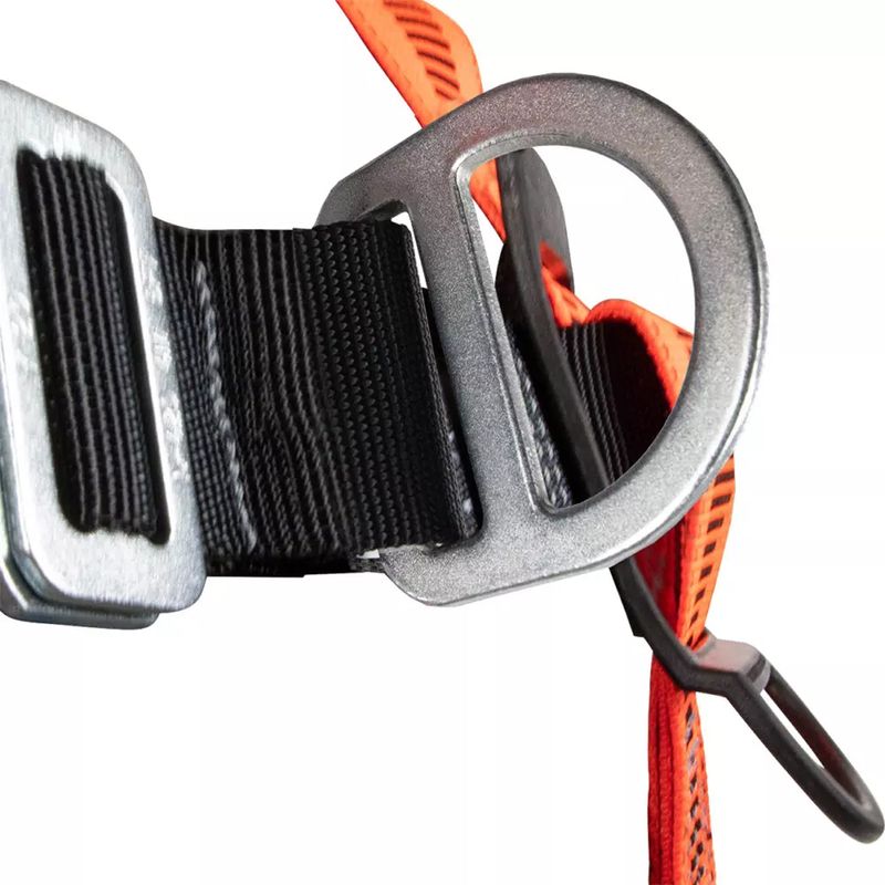 Arnes-Safewaze-de-4-argollas