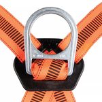 Arnes-Safewaze-de-4-argollas